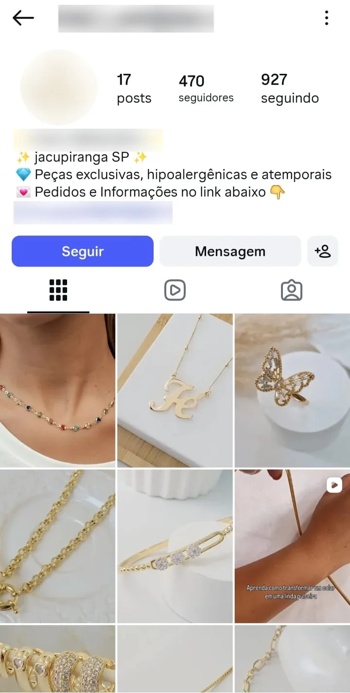 Página do Instagram de uma revendedora, com colares, anel de borboleta e pulseira nas fotos (nome, logo e link borrados)