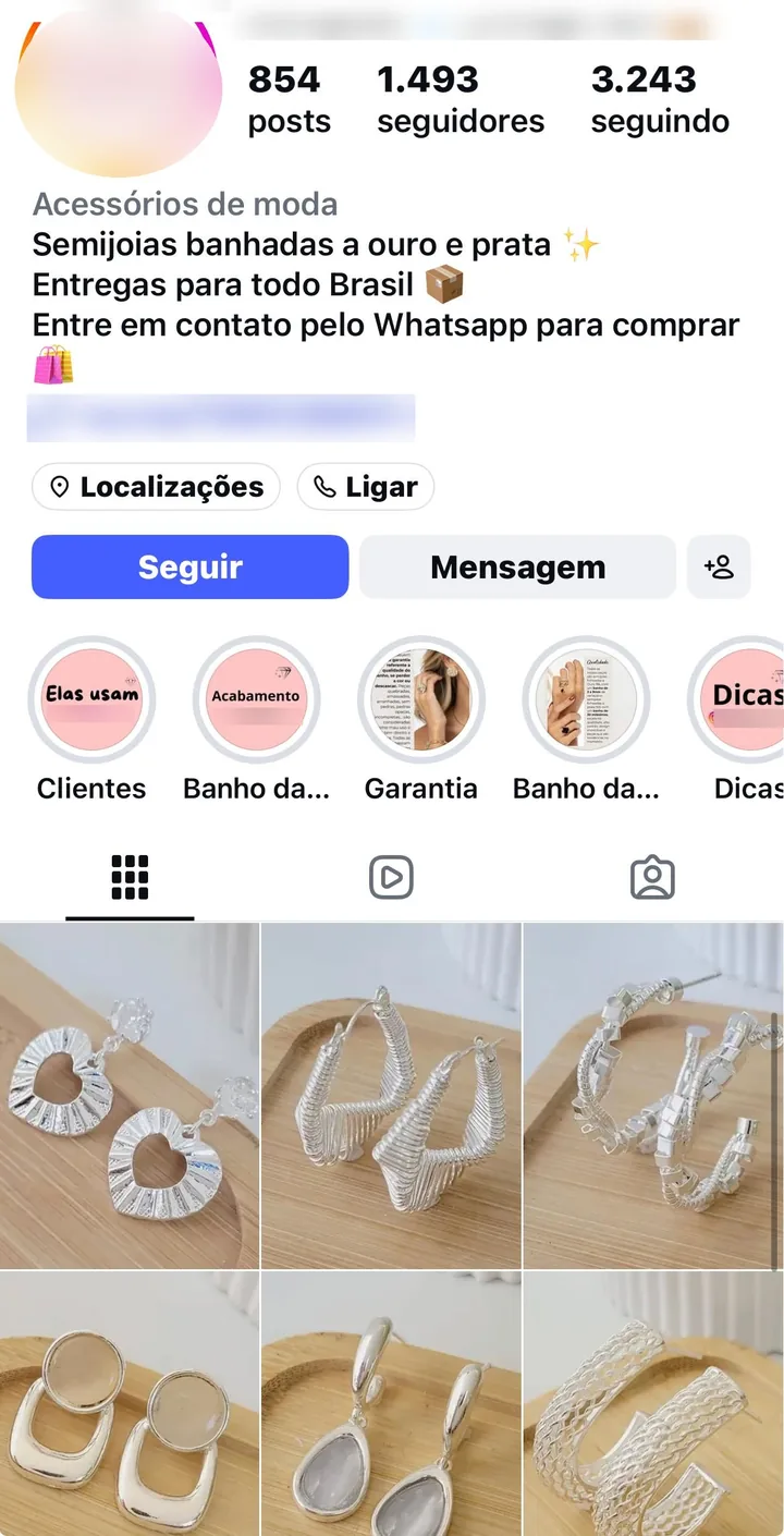 Página do Instagram de uma revendedora, com brincos prateados nas fotos (nome, logo e link borrados)