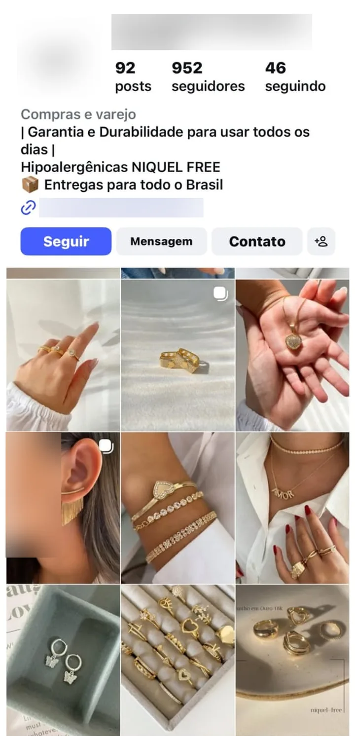 Página do Instagram de uma loja de semijoias, com anéis, pulseiras e brincos dourados nas fotos (nome, logo e link borrados)