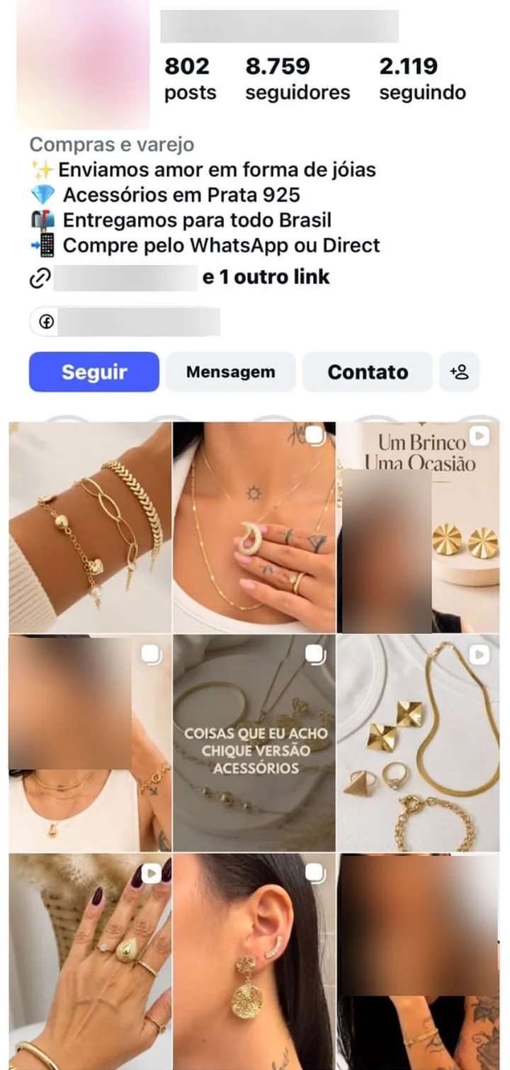 Página do Instagram de uma loja de joias, com pulseiras, colares e brincos nas fotos (nome, logo, link e rostos borrados)